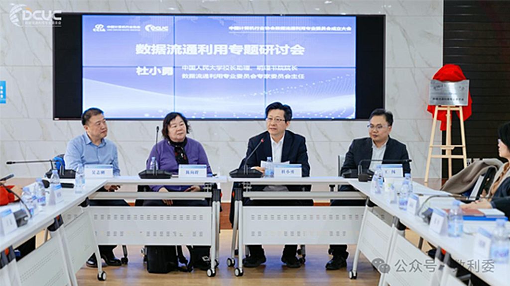 (专家委主任杜小勇主持研讨会)